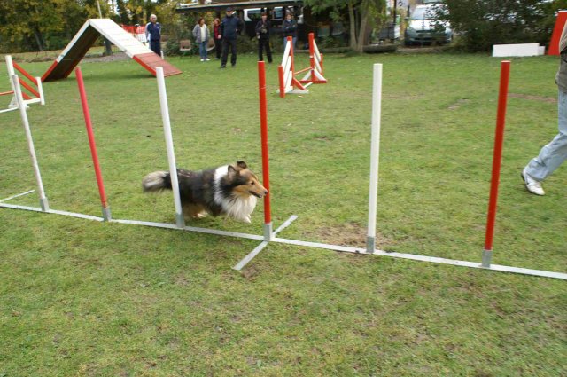 agility 2011-10-30